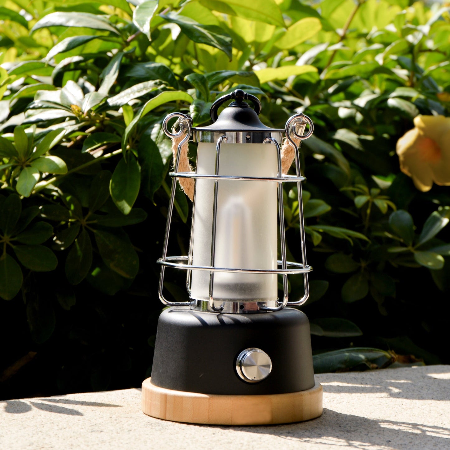 TRU De-LIGHT YOU&ME LED, Dimmable, Color Temperature & Brightness Adjustable, Rechargeable LED Lamp